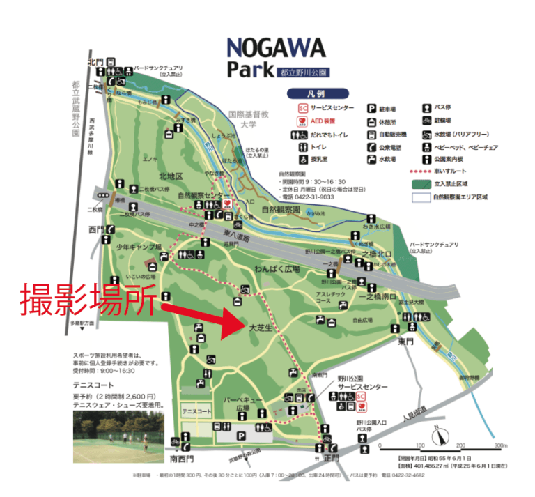 野川公園地図